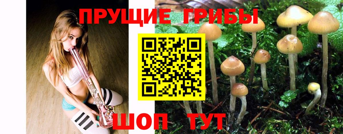 Белорецк  Галлюциногенные грибы GOLDEN TEACHER  Вход с VPN 
